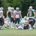 20180811_SHU_vs_Ingolstadt_Dukes_D3S8800