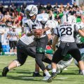 20180811_SHU_vs_Ingolstadt_Dukes_D3S8836