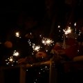 DSC04313