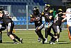 GFL2 Nord: Krefeld Ravens vs Rostock Griffins 21:27 10.05.2025