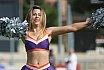 Die Cheerleader beim Spiel Frankfurt Universe vs Bad Homburg Sentinels am 26.08.2023