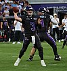 ELF: Vienna Vikings vs Rhein Fire 26:33 21.06.2025