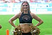 ELF: Die Pyromaniacs Cheerleader beim Heimspiel von Rhein Fire gegen die Hamburg Seadevils am  13.08.2023
