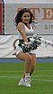 Die Cologne Cheerdance Cheerleader beim Heimspiel gegen die Potsdam Royals am 01.09.2019
