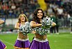 Die Frankfurt Universe Cheerleader beim Germanbowl XLI am 12.10.2019