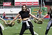 Die Cologne Cheerdance Cheerleader beim Heimspiel gegen die Düsseldorf Panther am 22.05.2022