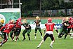 GFL Nord:  Cologne Crocodiles vs Potsdam Royals 22:07 01.09.2019 Galerie 1