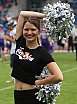 Die Frankfurt Universe Cheerleader beim Heimspiel gegen die Kirchdorf Wildcats am 28.07.2019