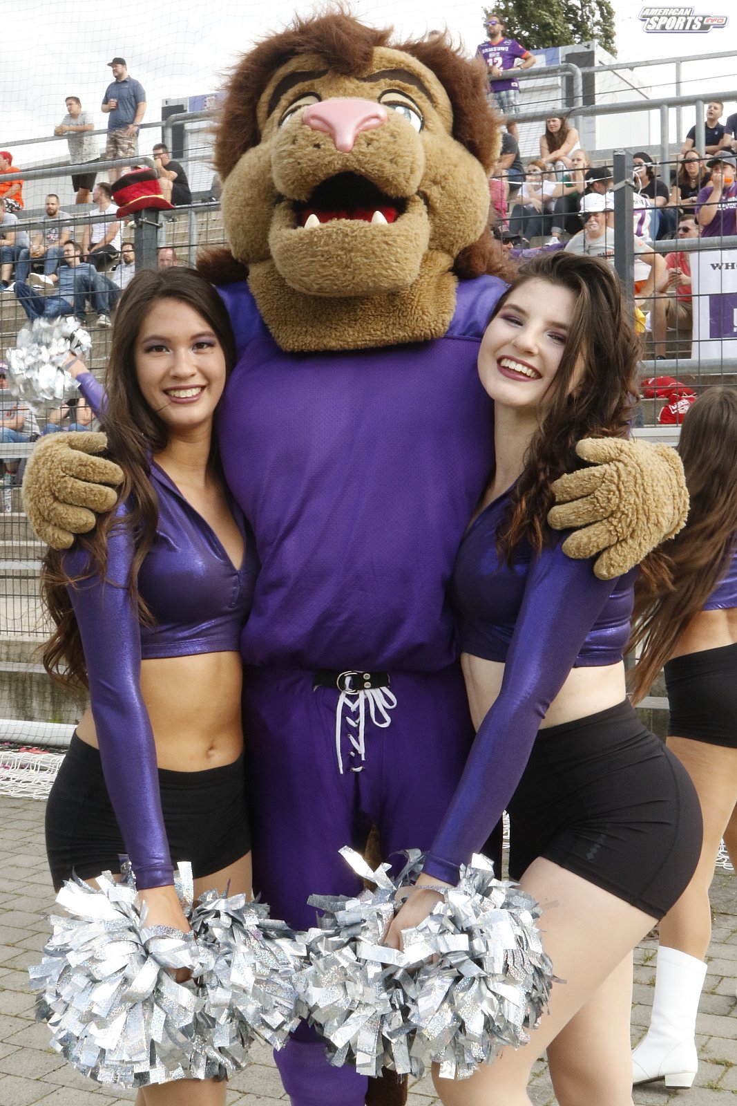 Die Frankfurt Universe Cheerleader beim Heimspiel gegen die Stuttgart Scorpions am 18.08.2019