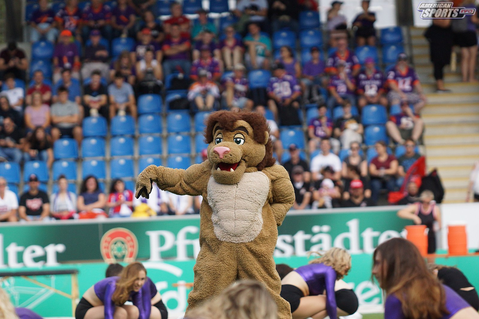 Die Frankfurt Universe Cheerleader beim Heimspiel gegen die Stuttgart Scorpions am 18.08.2019