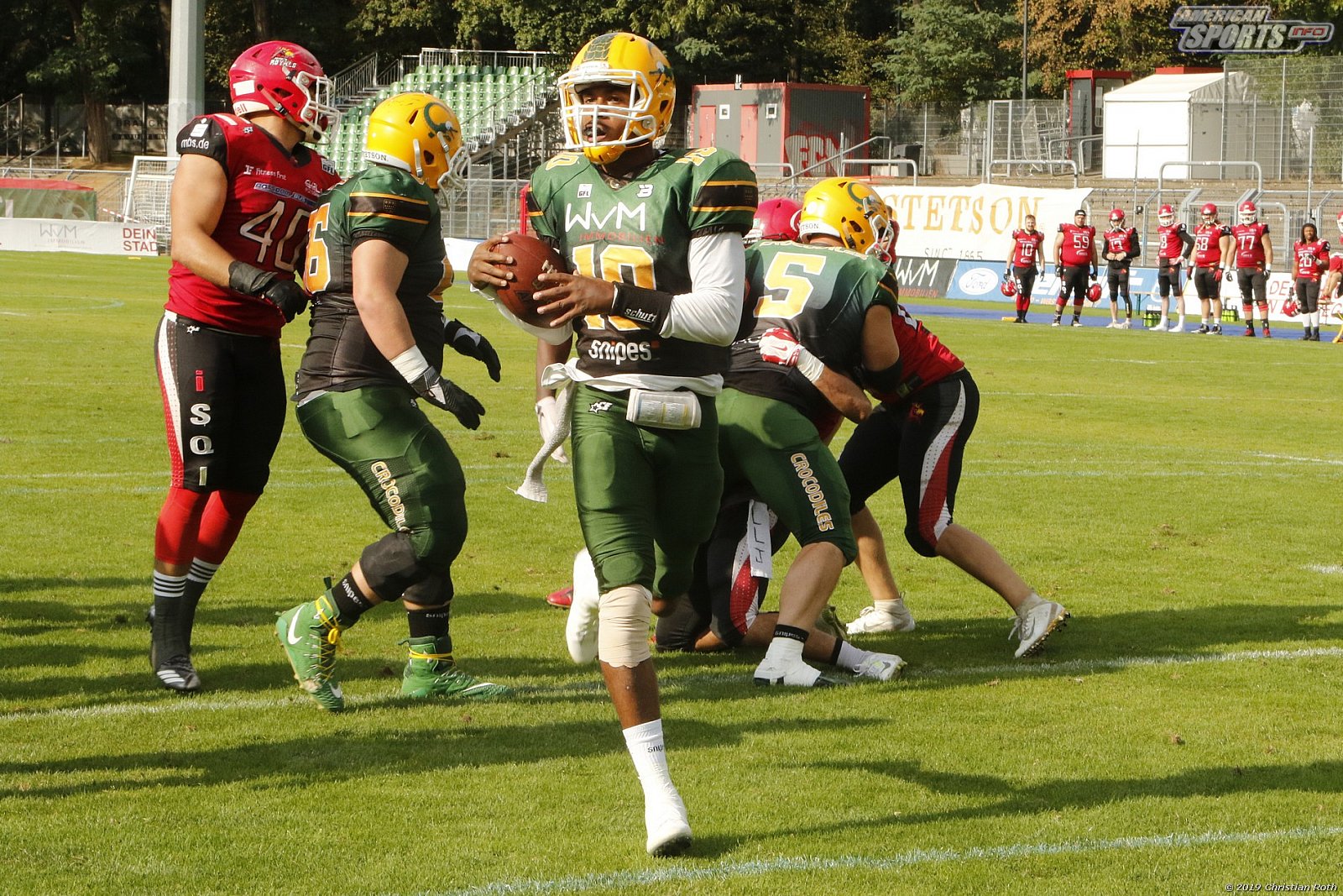 GFL Nord:  Cologne Crocodiles vs Potsdam Royals 22:07 01.09.2019 Galerie 1