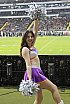 Die Frankfurt Universe Cheerleader beim Germanbowl XLI am 12.10.2019