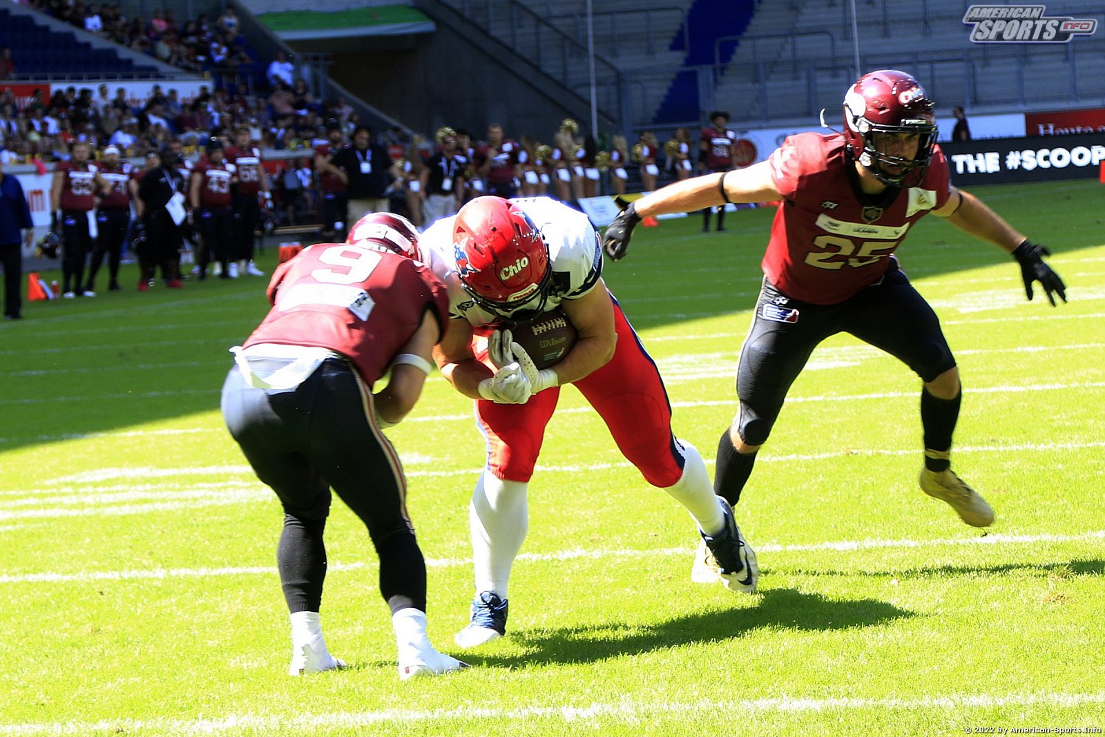ELF: Rhein Fire vs Hamburg Sea Devils 16:40 25.07.2022