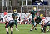 GFL Nord: Cologne Crocodiles vs Potsdam Royals 26:27 21.08.2021