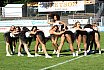 Die Cologne Cheerdance Cheerleader beim Heimspiel gegen die Berlin Rebels am 29.06.2019