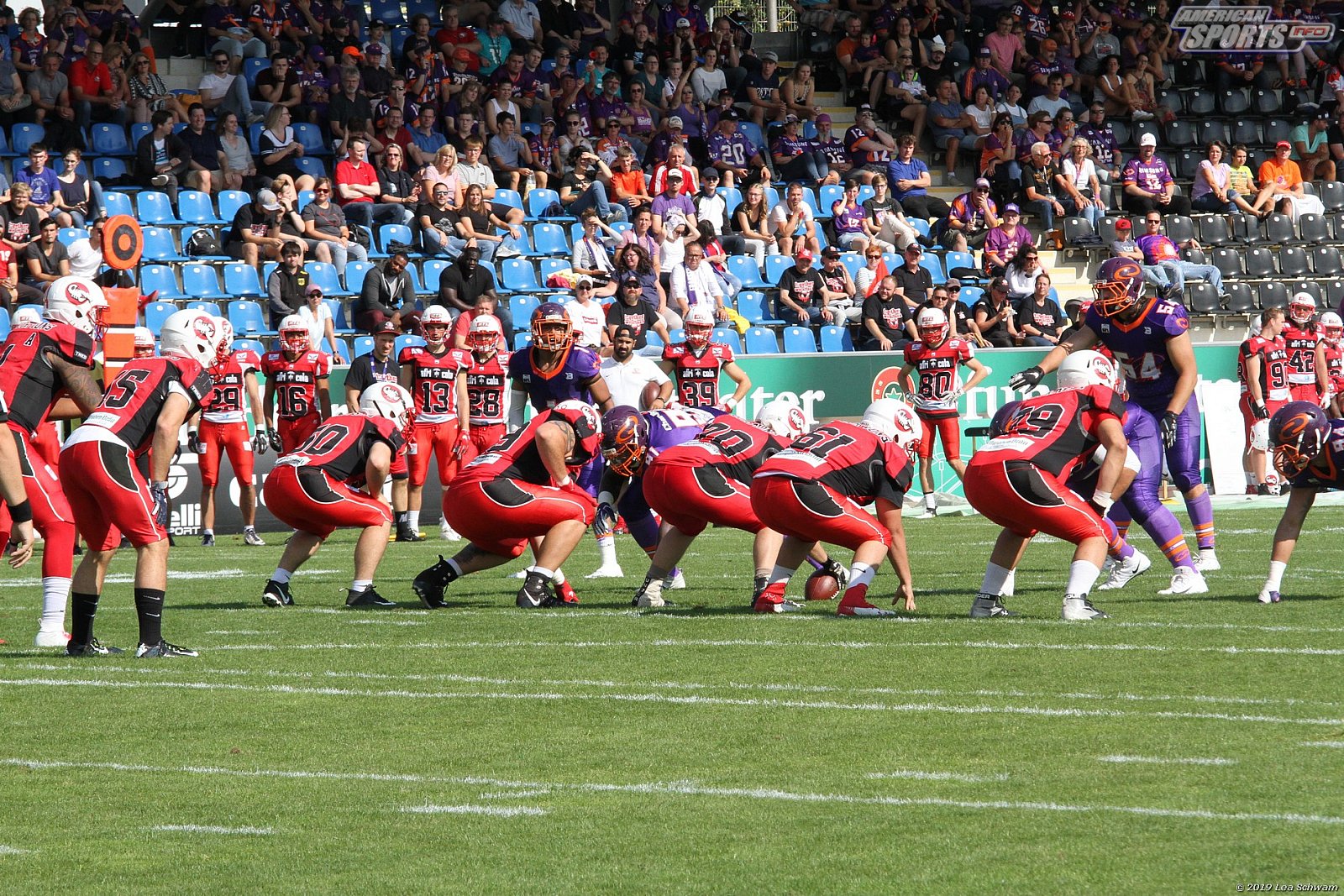 GFL Süd: Frankfurt Universe vs Stuttgart Scorpions 51:12 18.08.2019 Galerie 2