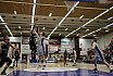 ProA Basketball: White Wings Hanau vs. FC Schalke 04 Basketball 84:80 23.03.2019