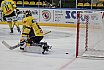 DEL2: Löwen Frankfurt vs. Tölzer Löwen 9:2 03.10.2018