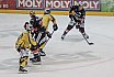 DEL2: Löwen Frankfurt vs. Bayreuth Tigers 10:4 21.10.2018