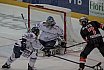 DEL2: Löwen Frankfurt vs. Dresdner Eislöwen 3:1 04.11.2018