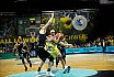 BBL: Basketball Löwen Braunschweig vs. Rasta Vechta 85:88 16.03.2019
