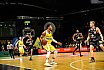 BBL: Basketball Löwen Braunschweig vs Mitteldeutscher BC 75:63 16.11.2018