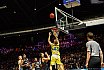 BBL: Basketball Löwen Braunschweig vs Mitteldeutscher BC 75:63 16.11.2018