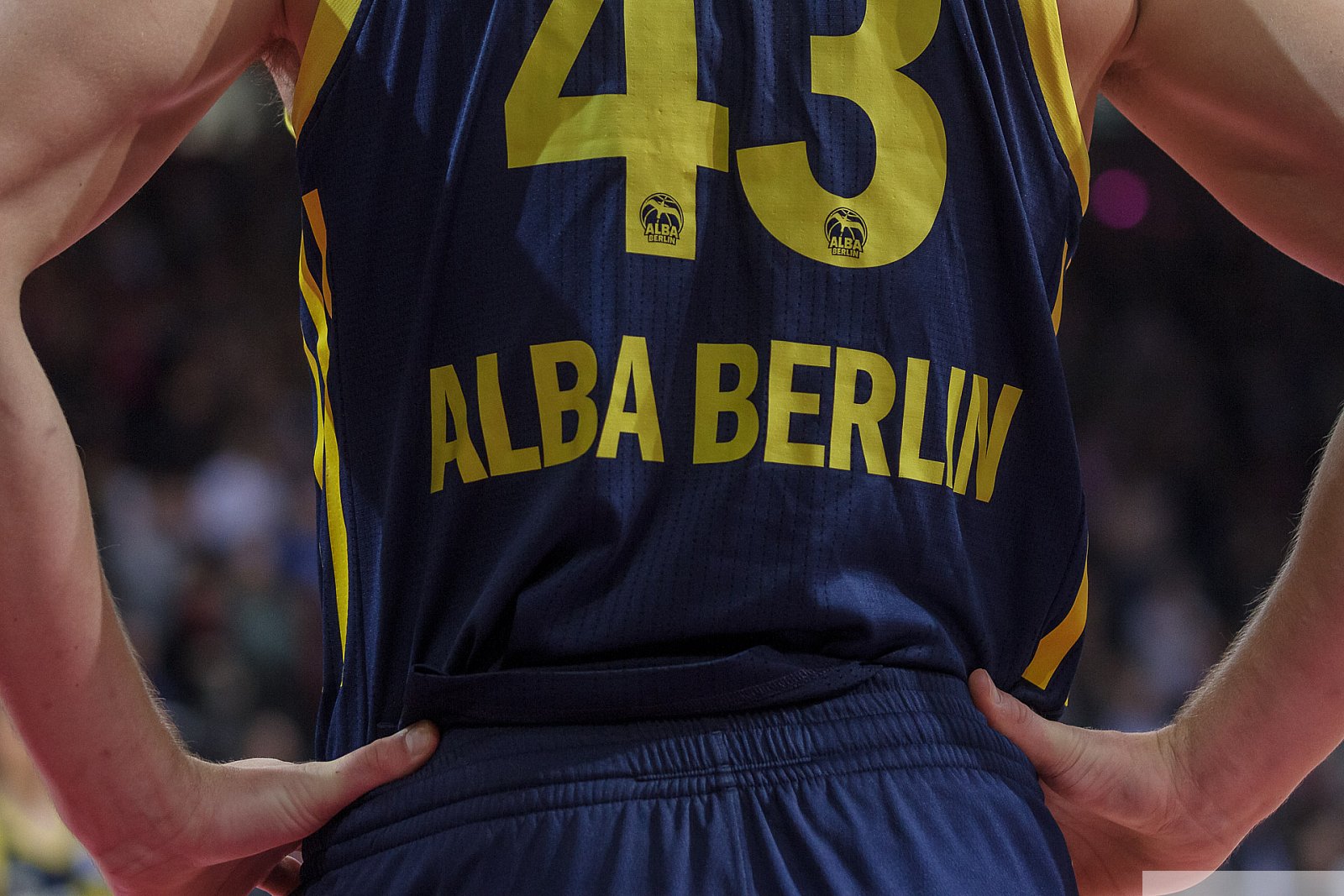 BBL: Telekom Baskets Bonn vs ALBA Berlin 81:93 10.02.2019