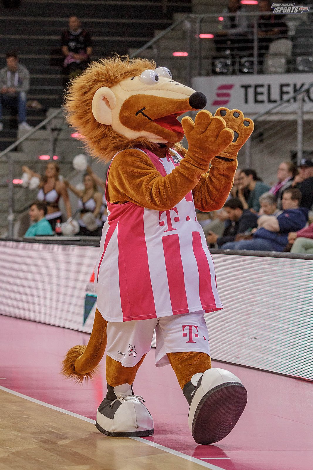 Basketball Champions League: Telekom Baskets Bonn vs Umana Reyer Venezia 84:94 06.11.2018