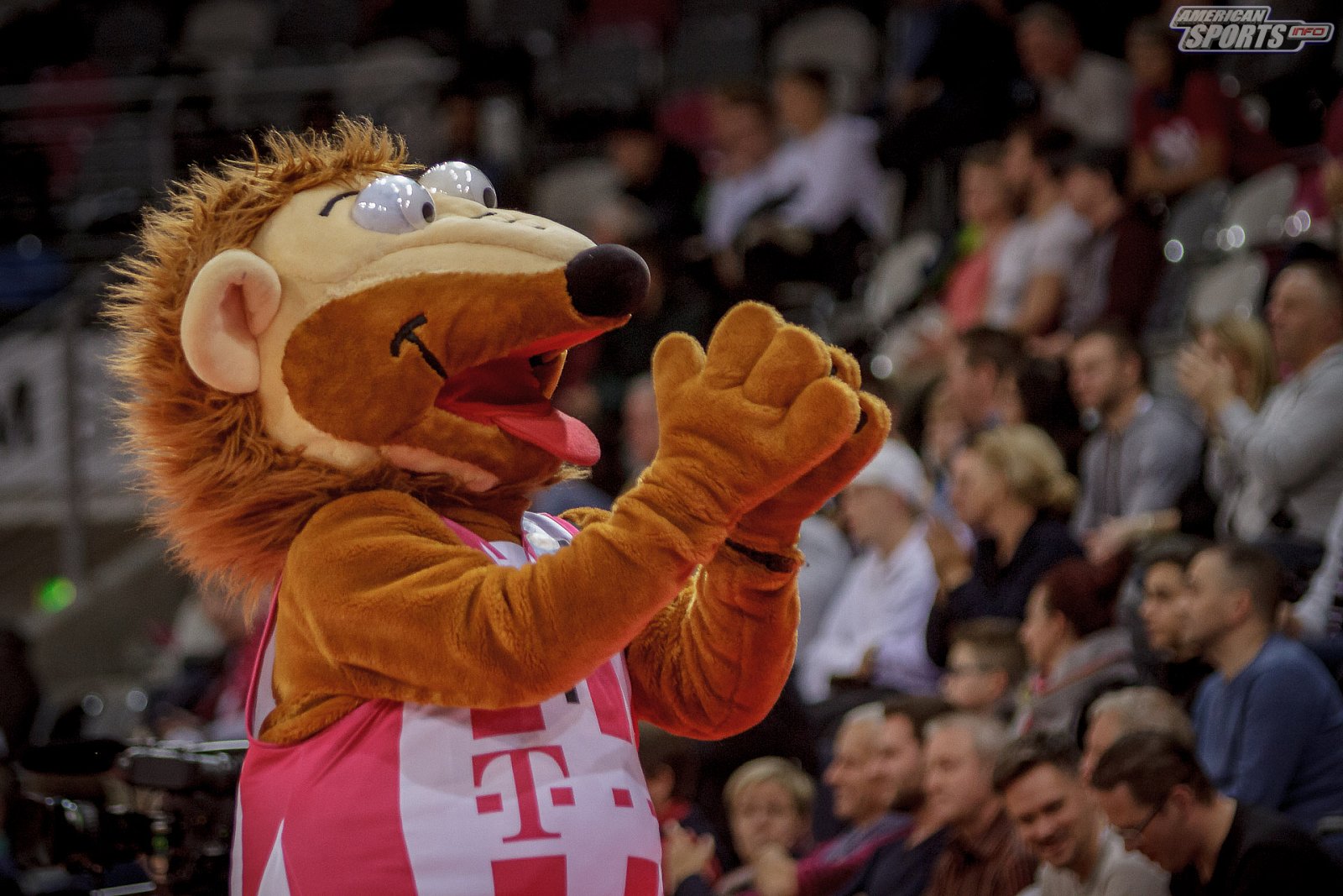 Basketball Champions League: Telekom Baskets Bonn vs BK Opava 114:77 20.11.2018