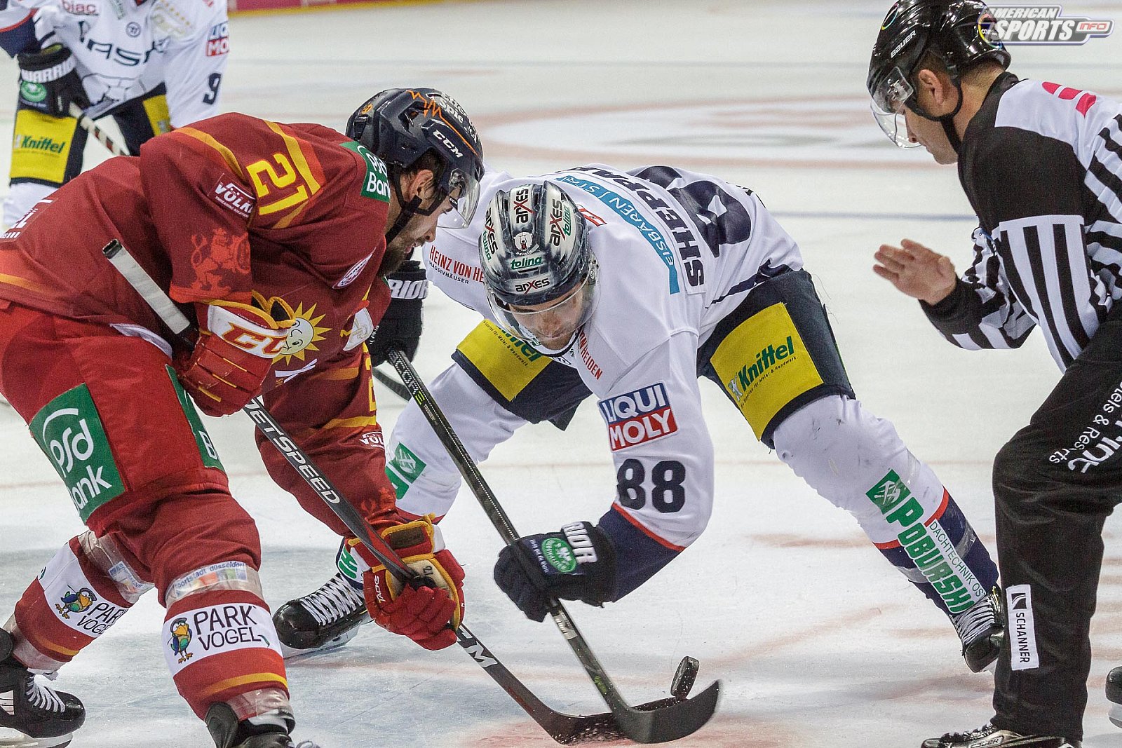 DEL: Düsseldorfer EG vs Eisbären Berlin 5:1 02.10.2018