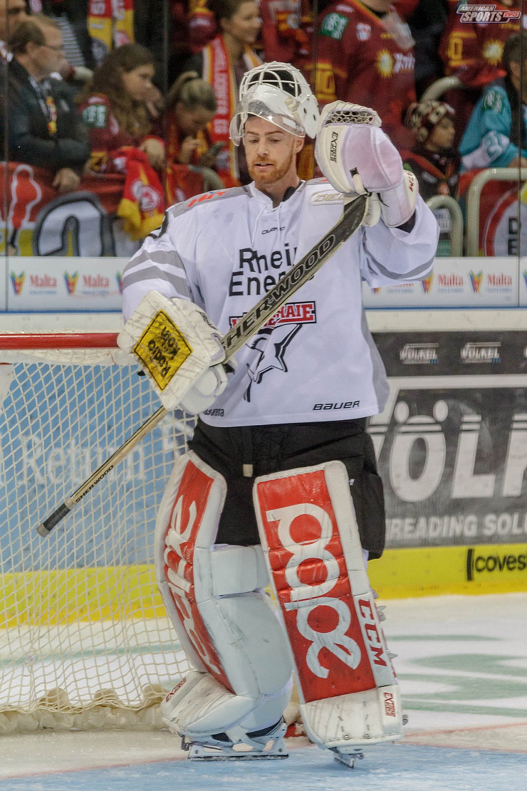 DEL: Düsseldorfer EG vs Kölner Haie 4:3 19.10.2018