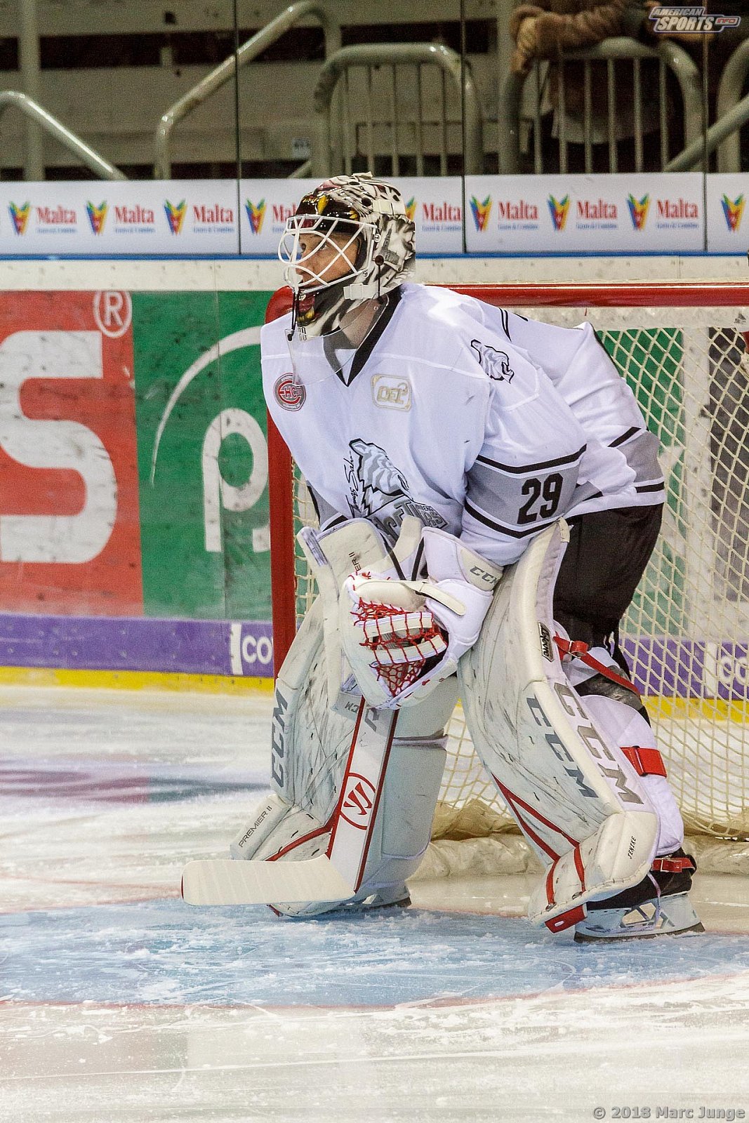 DEL Düsseldorfer EG vs Thomas Sabo Icetigers Nürnberg 4:3 OT