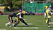 GFL Relegation: Düsseldorf Panther vs Elmshorn Fighting Pirates 14:47 21.09.2019