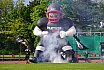 GFL Nord: Düsseldorf Panther vs Hildesheim Invaders 17:49 11.05.2019