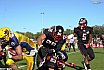 GFL Relegation: Düsseldorf Panther vs Elmshorn Fighting Pirates 14:47 21.09.2019