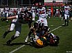 GFL Nord: Cologne Crocodiles vs Düsseldorf Panther 48:21 22.05.2022 Galerie 2