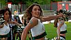 Die Cologne Cheerdance Cheerleader beim Heimspiel gegen die NewYorker Lions am 11.05.2019
