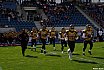 GFL Süd: Frankfurt Universe vs Munich Cowboys 24:17 19.05.2019 Galerie 2