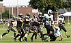 Verbandsliga NRW: Krefeld Ravens  vs Mülheim Shamrocks 35:13 21.08.2021