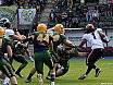 GFL Nord: Cologne Crocodiles vs Düsseldorf Panther 44:21 08.06.2019 Galerie 2