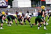 GFL Nord: Cologne Crocodiles vs Düsseldorf Panther 44:21 08.06.2019 Galerie 2