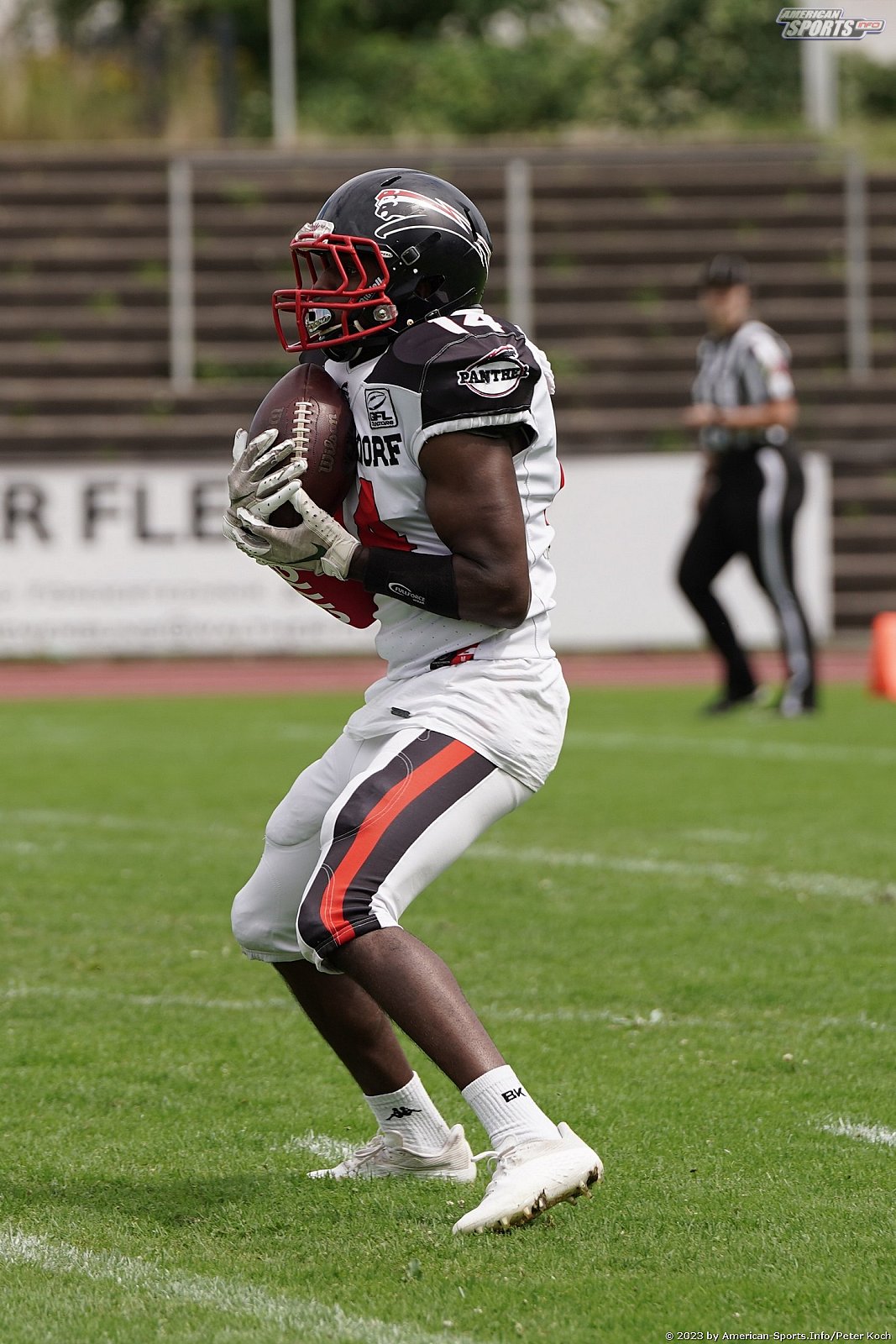 GFLJ Viertelfinale: Düsseldorf Panther vs Stuttgart Scorpions 115:00 29.06.2023