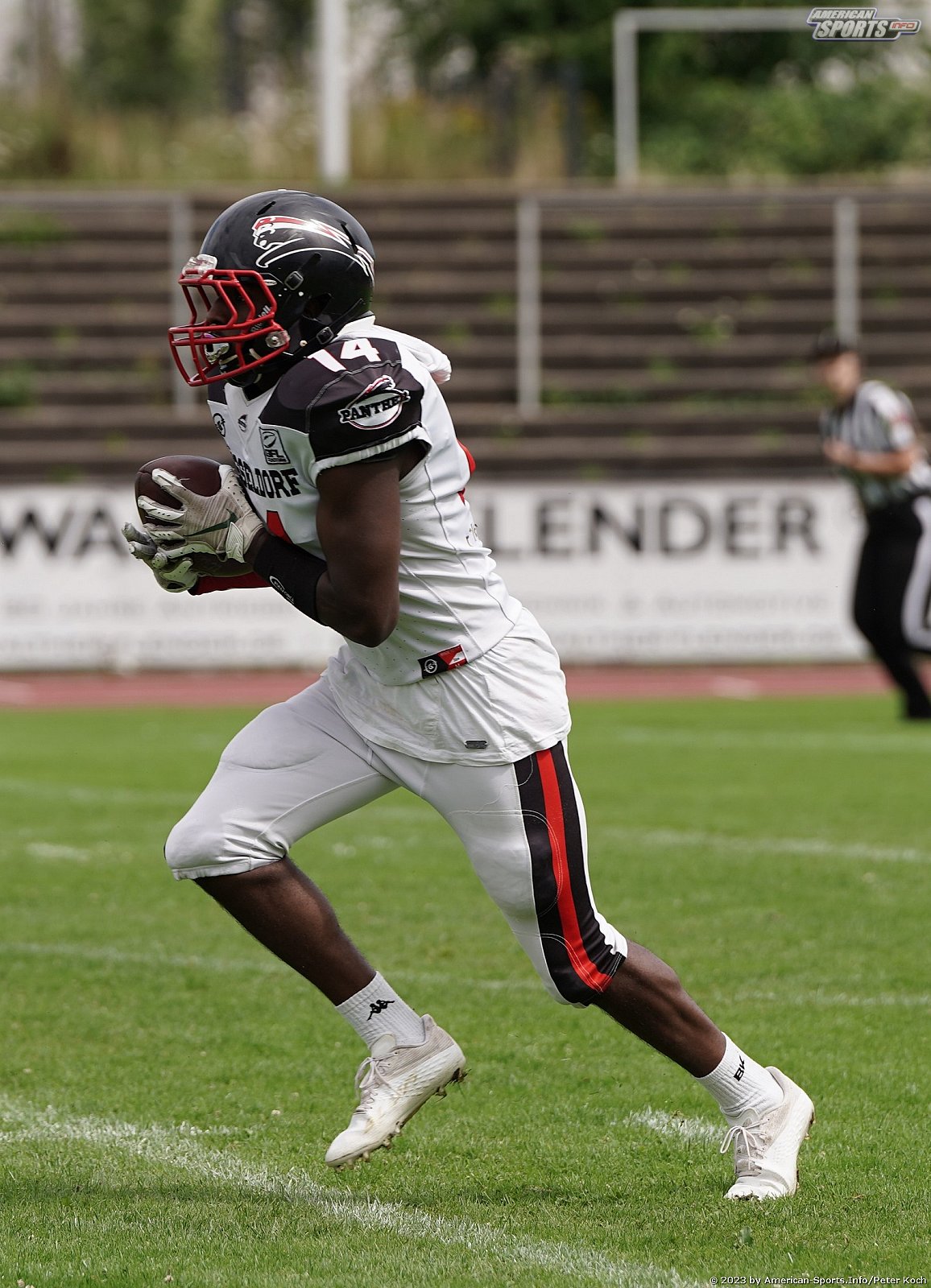 GFLJ Viertelfinale: Düsseldorf Panther vs Stuttgart Scorpions 115:00 29.06.2023