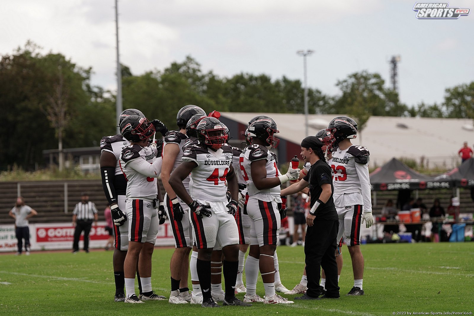 GFLJ Viertelfinale: Düsseldorf Panther vs Stuttgart Scorpions 115:00 29.06.2023