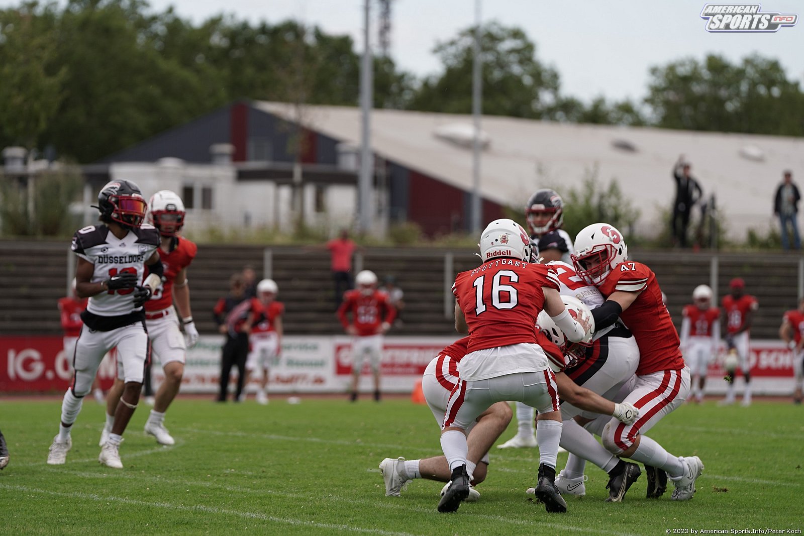 GFLJ Viertelfinale: Düsseldorf Panther vs Stuttgart Scorpions 115:00 29.06.2023