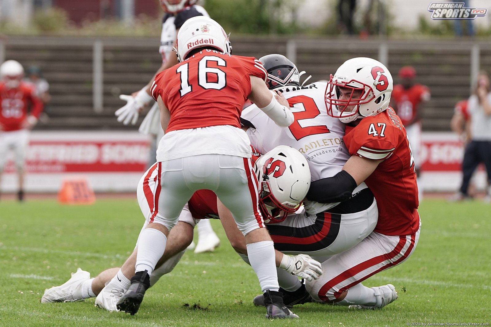 GFLJ Viertelfinale: Düsseldorf Panther vs Stuttgart Scorpions 115:00 29.06.2023