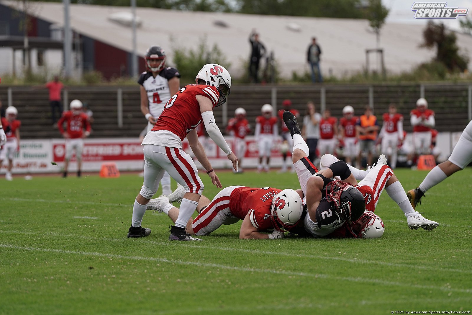GFLJ Viertelfinale: Düsseldorf Panther vs Stuttgart Scorpions 115:00 29.06.2023