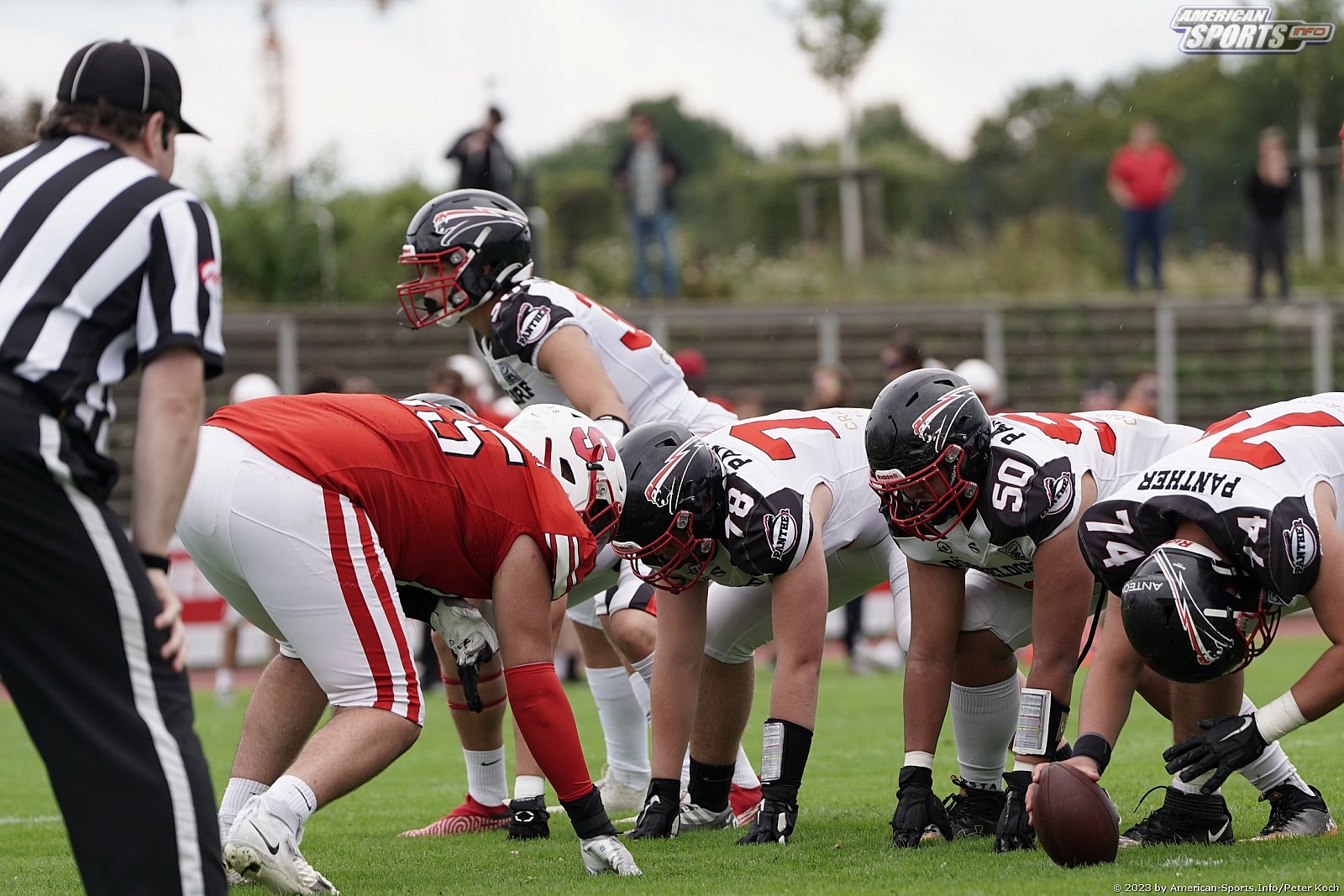 GFLJ Viertelfinale: Düsseldorf Panther vs Stuttgart Scorpions 115:00 29.06.2023