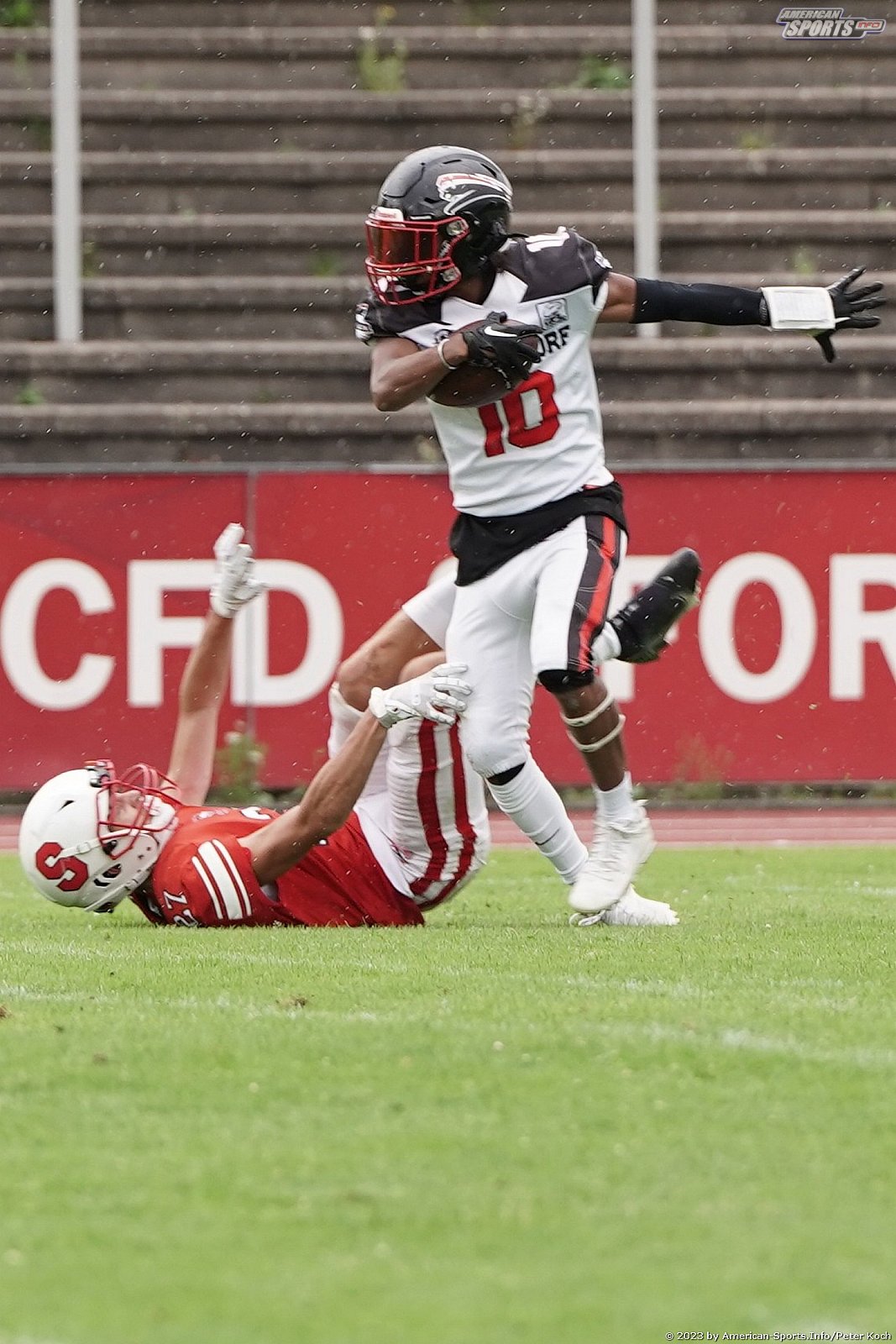 GFLJ Viertelfinale: Düsseldorf Panther vs Stuttgart Scorpions 115:00 29.06.2023